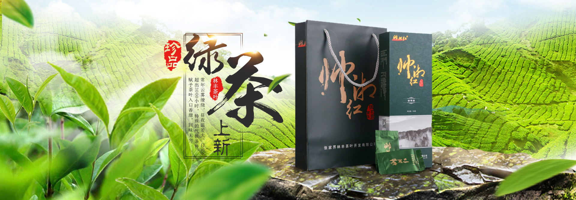 張家界林豐茶葉開發(fā)有限公司_張家界茶葉開發(fā)|茶葉種植|桑植白茶加工|帥湘紅銷售